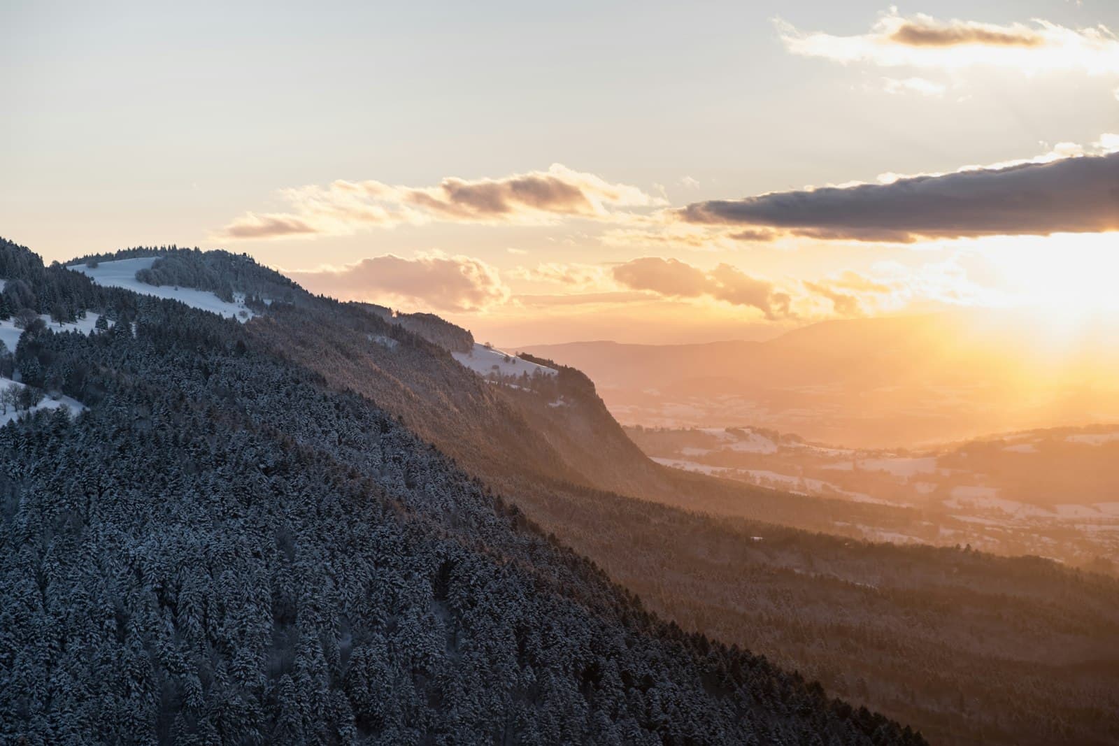 Veyrier, guide d'une commune au pied du Salève