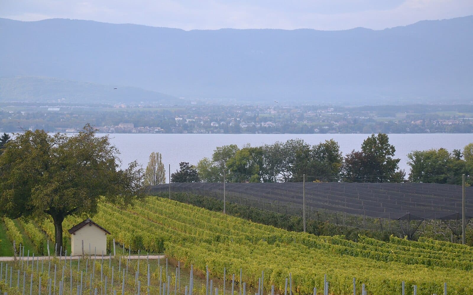 Anières, guide d'une commune de la rive gauche au bord du lac
