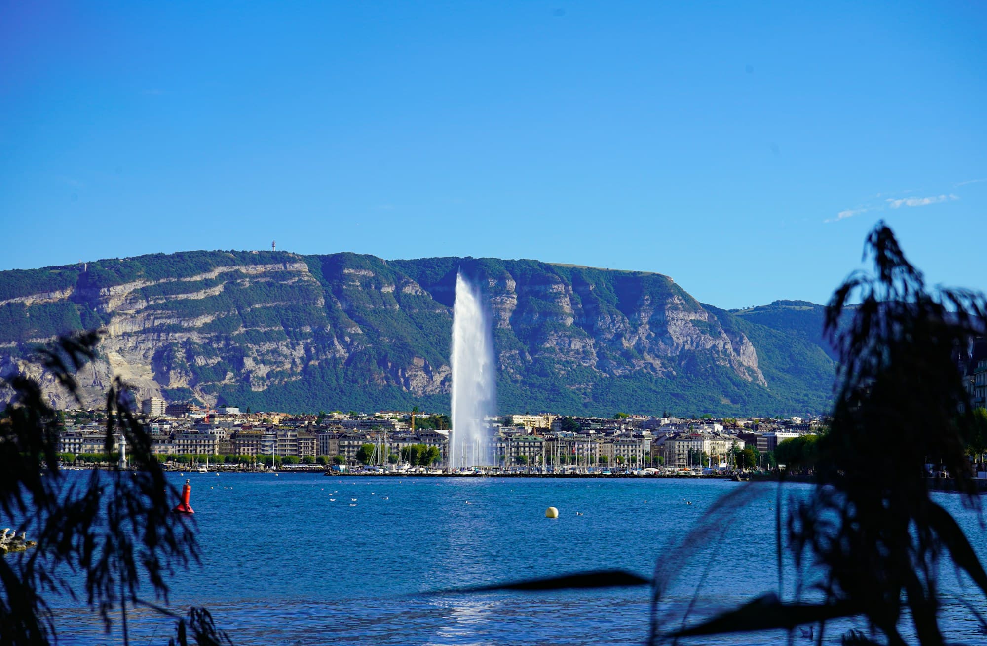 Pourquoi les prix de l'immobilier tiennent à Genève : rareté du foncier et demande